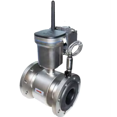 TLXE Electromagnetic Water Meter